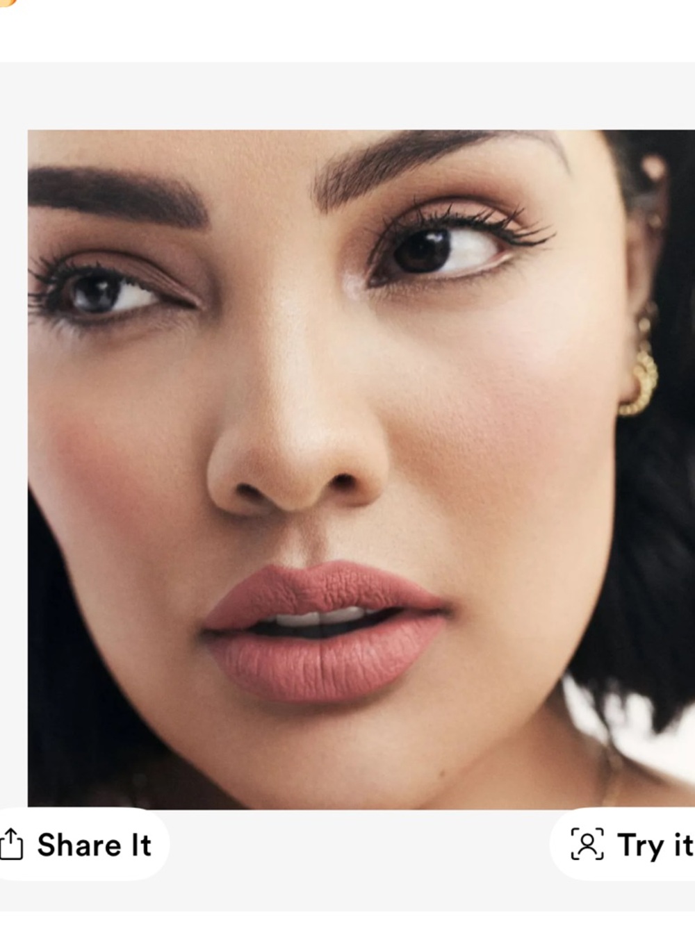 Fenty Beauty Icon Velvet Liquid Lipstick — Fashion Fiend